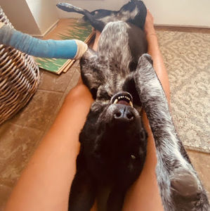 Meet your Posher, Chloe